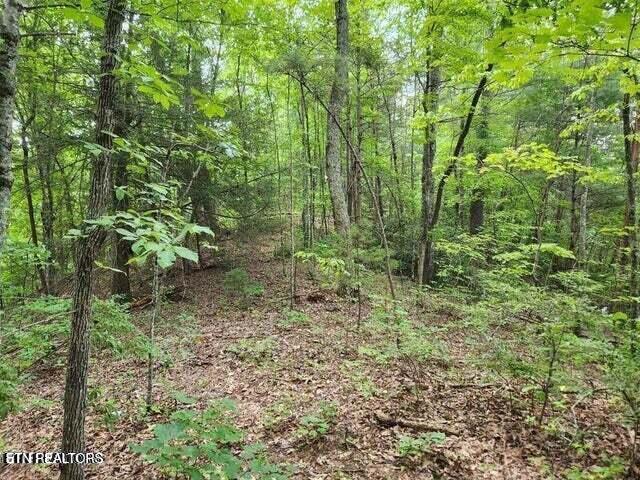 Pea Hollow Rd, Sevierville, TN 37876