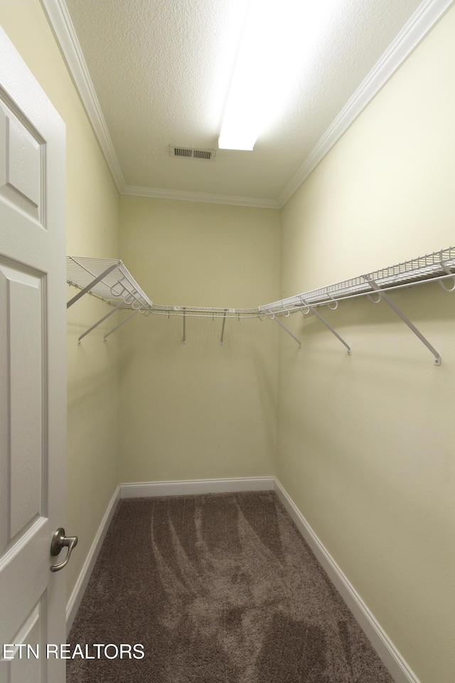 122 Dayflower Way, Maynardville, TN 37807 - walk in closet with carpet flooring