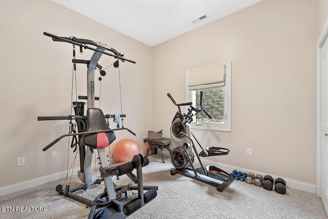 210 Indian Shadows Dr, Maryville, TN 37801 - photo 38