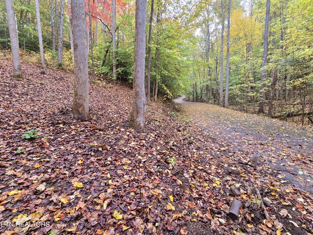 Cara Way, Cosby, TN 37722