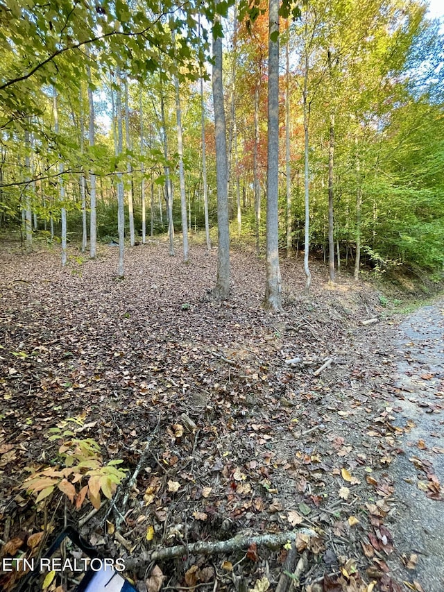 Cara Way, Cosby, TN 37722