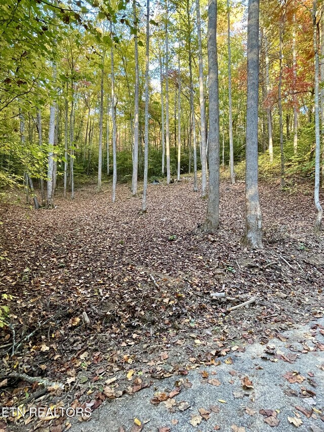 Cara Way, Cosby, TN 37722