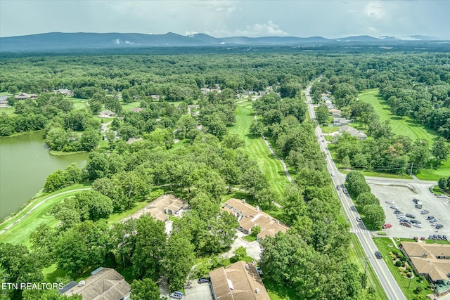7000 Big Horn Dr Unit C-11, Crossville, TN 38572 - aerial view of a large body of water and a heavily wooded area