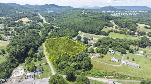 150 4th St, Tellico Plains, TN 37385 - photo 39