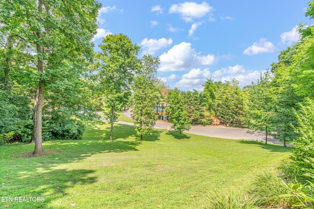 2011 River Sound Dr, Knoxville, TN 37922 - photo 48
