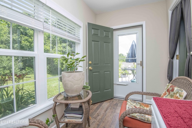 5632 Libby Way, Knoxville, TN 37924 - entrance foyer featuring healthy amount of natural light and wood finished floors