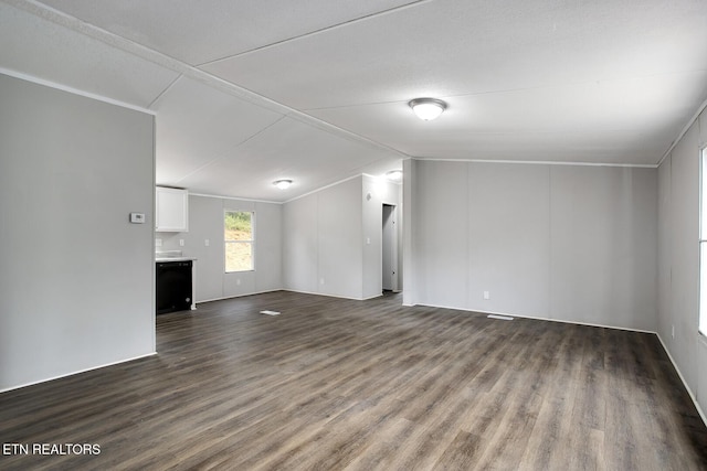 6952 Cottonport Rd, Decatur, TN 37322 - unfurnished living room featuring dark wood-type flooring and vaulted ceiling