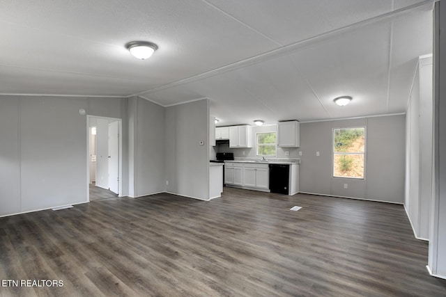 6952 Cottonport Rd, Decatur, TN 37322 - unfurnished living room with dark wood finished floors and vaulted ceiling