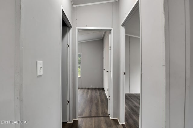 6952 Cottonport Rd, Decatur, TN 37322 - hallway with dark wood-style floors and crown molding