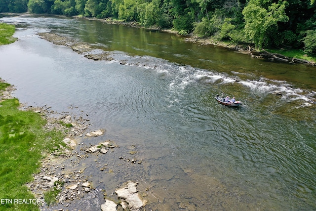 2005 River Mist Cir, New Market, TN 37820 - water view featuring a forest