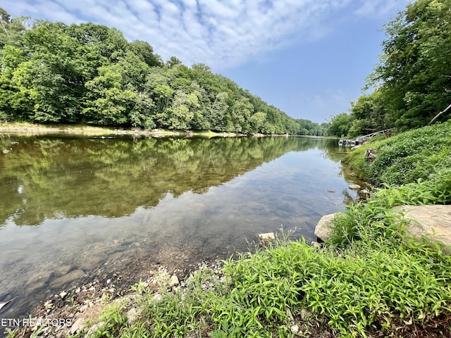 2005 River Mist Cir, New Market, TN 37820 - water view featuring a heavily wooded area