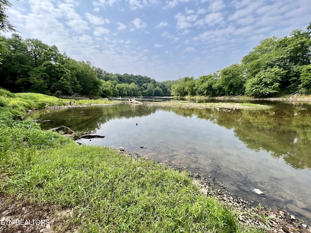 2005 River Mist Cir, New Market, TN 37820 - water view featuring a heavily wooded area