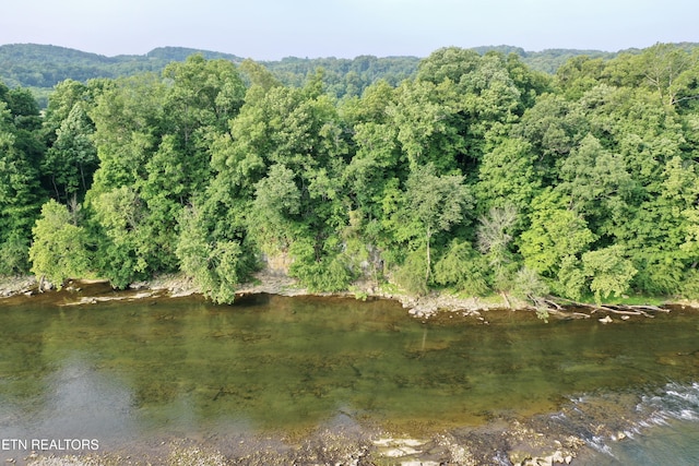 2005 River Mist Cir, New Market, TN 37820 - water view featuring a forest
