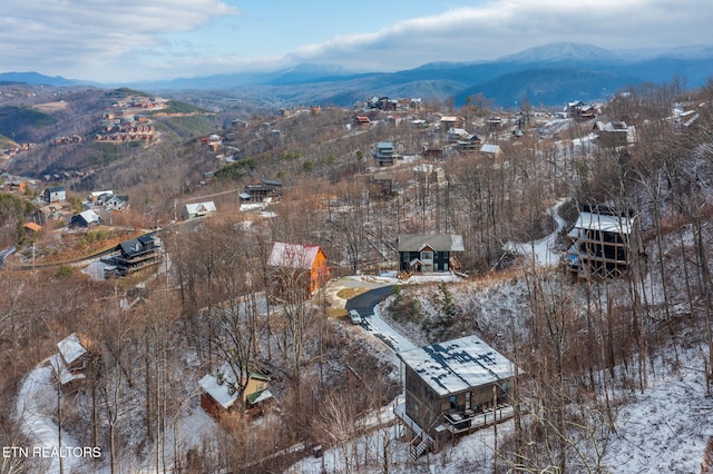 809 Chestnut Dr, Gatlinburg, TN 37738 - photo 6
