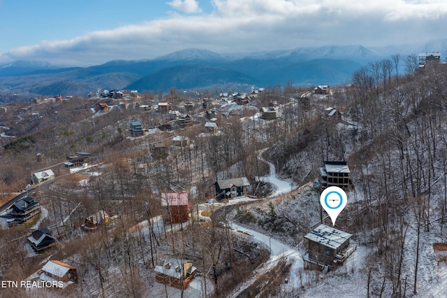 809 Chestnut Dr, Gatlinburg, TN 37738 - photo 30
