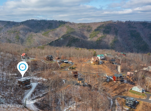809 Chestnut Dr, Gatlinburg, TN 37738 - photo 32