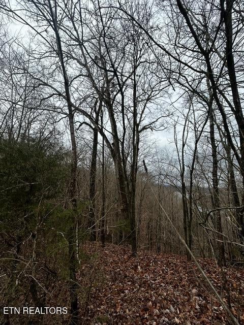 Russell Brothers Rd, Sharps Chapel, TN 37866