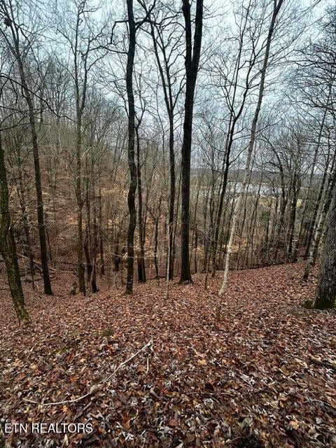 Russell Brothers Rd, Sharps Chapel, TN 37866