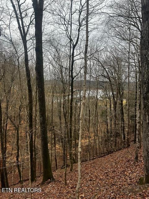 Russell Brothers Rd, Sharps Chapel, TN 37866