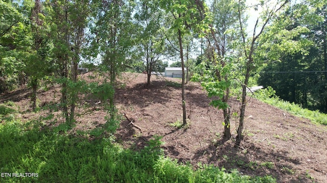 Grantsboro Rd, Lafollette, TN 37766