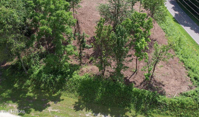 Grantsboro Rd, Lafollette, TN 37766