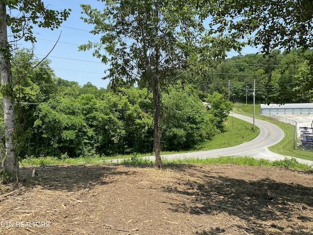 Grantsboro Rd, Lafollette, TN 37766