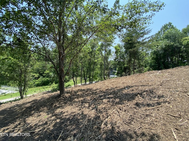Grantsboro Rd, Lafollette, TN 37766