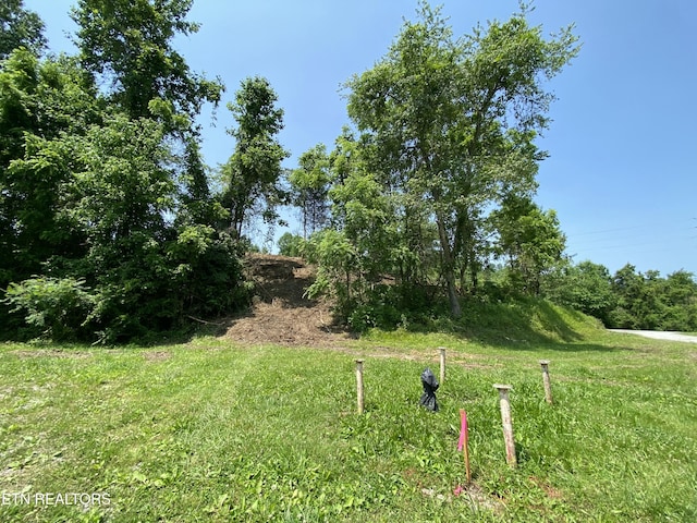 Grantsboro Rd, Lafollette, TN 37766