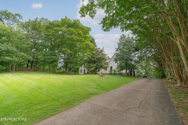 824 W Woodchase Rd, Knoxville, TN 37934 - view of grassy yard