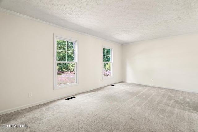 824 W Woodchase Rd, Knoxville, TN 37934 - carpeted spare room featuring ornamental molding and a textured ceiling