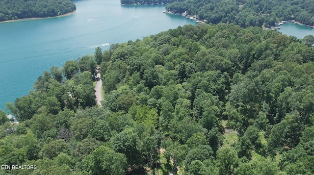 Cove Point Rd, Lafollette, TN 37766