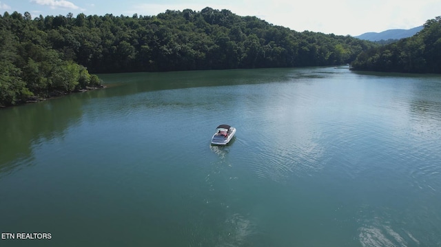 Cove Point Rd, Lafollette, TN 37766