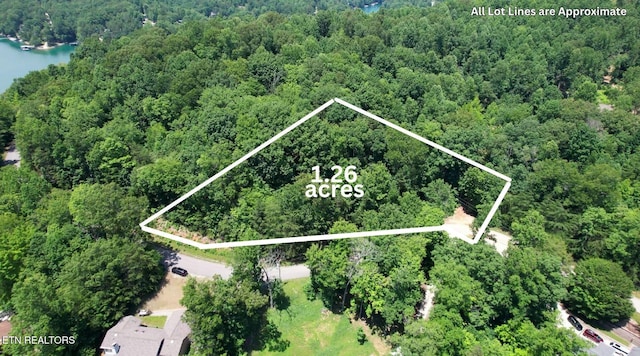 Cove Point Rd, Lafollette, TN 37766