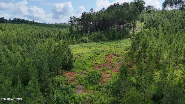 LOT41 Three Point Rd, Madisonville, TN 37354