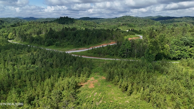 LOT41 Three Point Rd, Madisonville, TN 37354