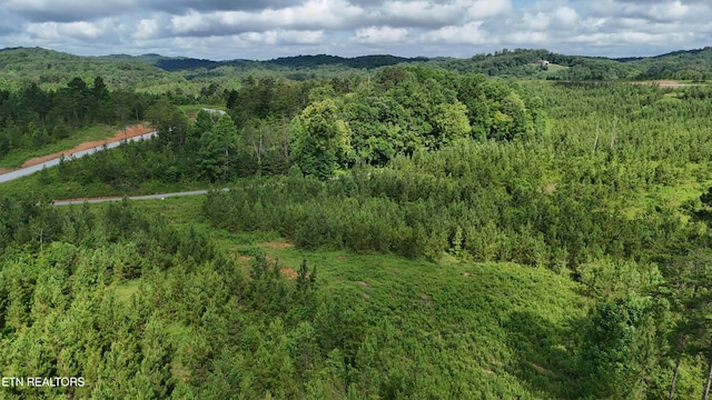 LOT41 Three Point Rd, Madisonville, TN 37354