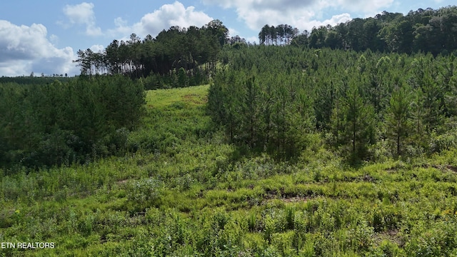 LOT41 Three Point Rd, Madisonville, TN 37354
