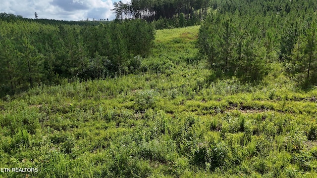 LOT41 Three Point Rd, Madisonville, TN 37354