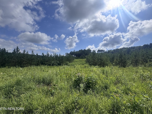 LOT41 Three Point Rd, Madisonville, TN 37354