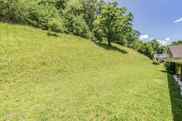 610 E Race St, Kingston, TN 37763 - photo 52