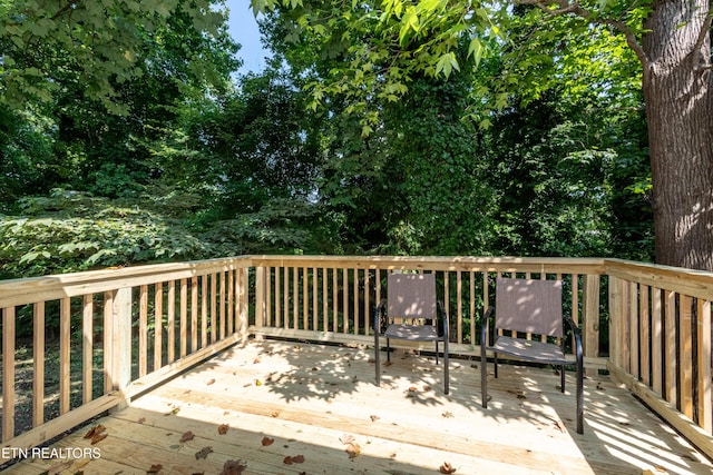 2839 Rifle Range Dr, Knoxville, TN 37918 - photo 22