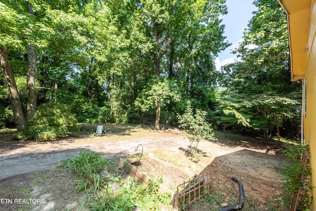 2839 Rifle Range Dr, Knoxville, TN 37918 - photo 28