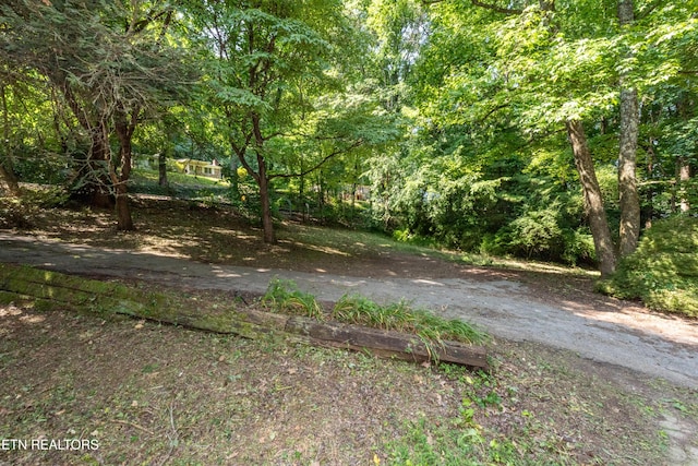 2839 Rifle Range Dr, Knoxville, TN 37918 - photo 29