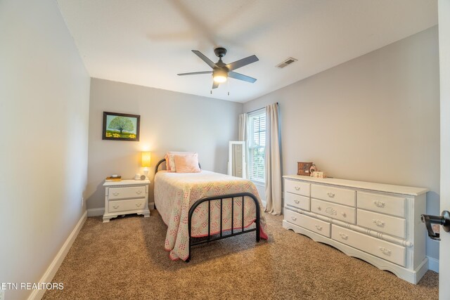 8663 Lake Village Cir, Knoxville, TN 37938 - photo 31