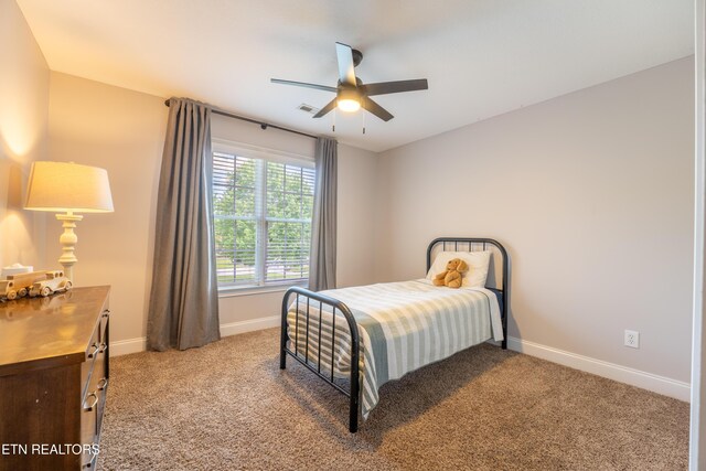 8663 Lake Village Cir, Knoxville, TN 37938 - photo 38