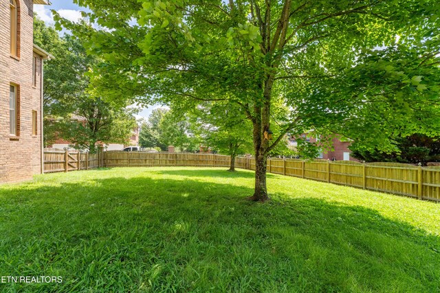 8663 Lake Village Cir, Knoxville, TN 37938 - photo 44
