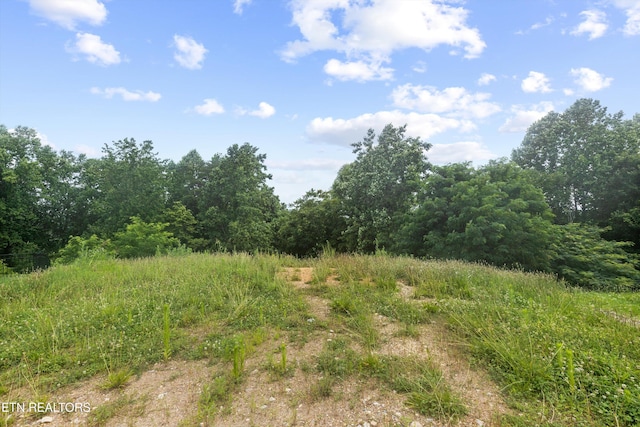 1564 Mountain Hill Ln, Knoxville, TN 37931 - photo 2