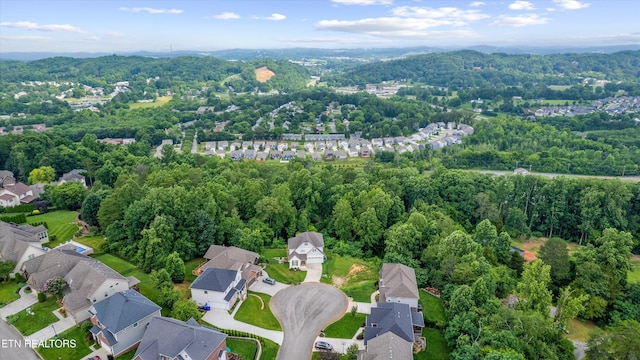 1564 Mountain Hill Ln, Knoxville, TN 37931 - photo 8