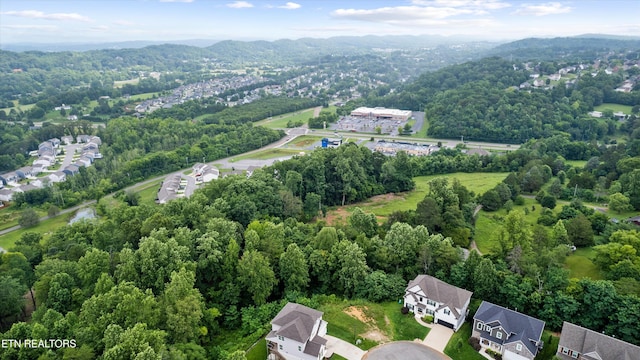 1564 Mountain Hill Ln, Knoxville, TN 37931 - photo 9
