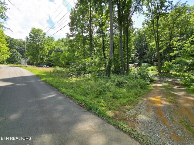 4010 Forest Trail Dr, Sevierville, TN 37876 - photo 20